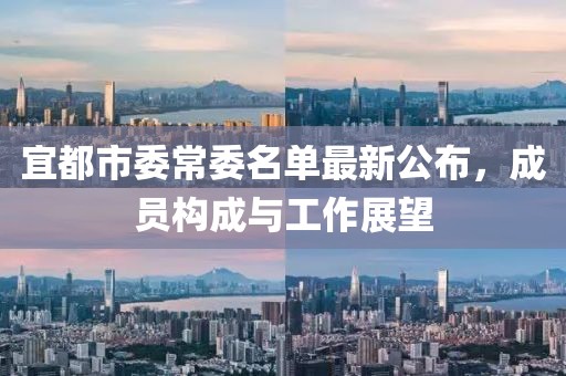 宜都市委常委名單最新公布，成員構(gòu)成與工作展望