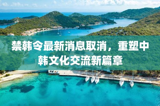 禁韓令最新消息取消，重塑中韓文化交流新篇章