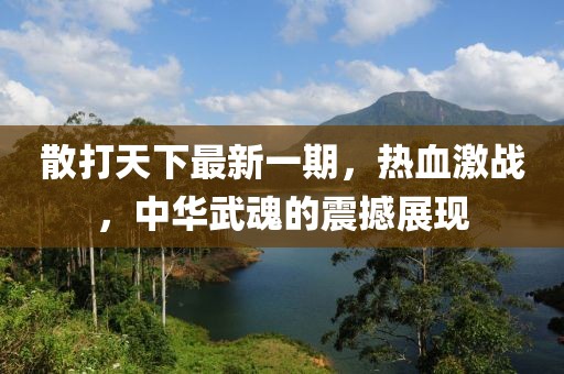 散打天下最新一期，熱血激戰(zhàn)，中華武魂的震撼展現(xiàn)