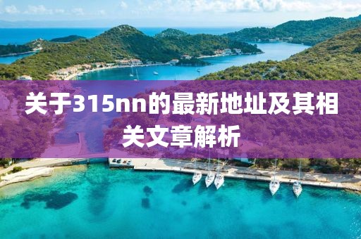 關(guān)于315nn的最新地址及其相關(guān)文章解析