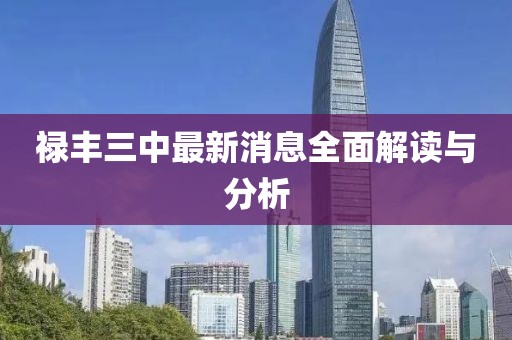 祿豐三中最新消息全面解讀與分析