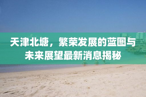 天津北塘，繁榮發(fā)展的藍(lán)圖與未來展望最新消息揭秘