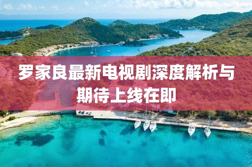 羅家良最新電視劇深度解析與期待上線在即
