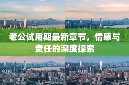 老公試用期最新章節(jié)，情感與責任的深度探索