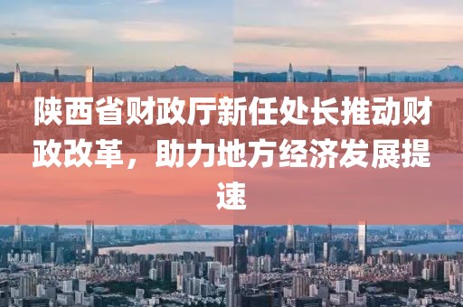 陜西省財(cái)政廳新任處長(zhǎng)推動(dòng)財(cái)政改革，助力地方經(jīng)濟(jì)發(fā)展提速