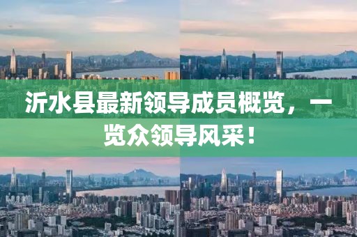 沂水縣最新領(lǐng)導(dǎo)成員概覽，一覽眾領(lǐng)導(dǎo)風(fēng)采！