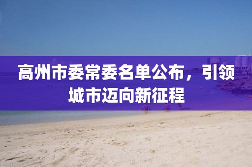 高州市委常委名單公布，引領(lǐng)城市邁向新征程