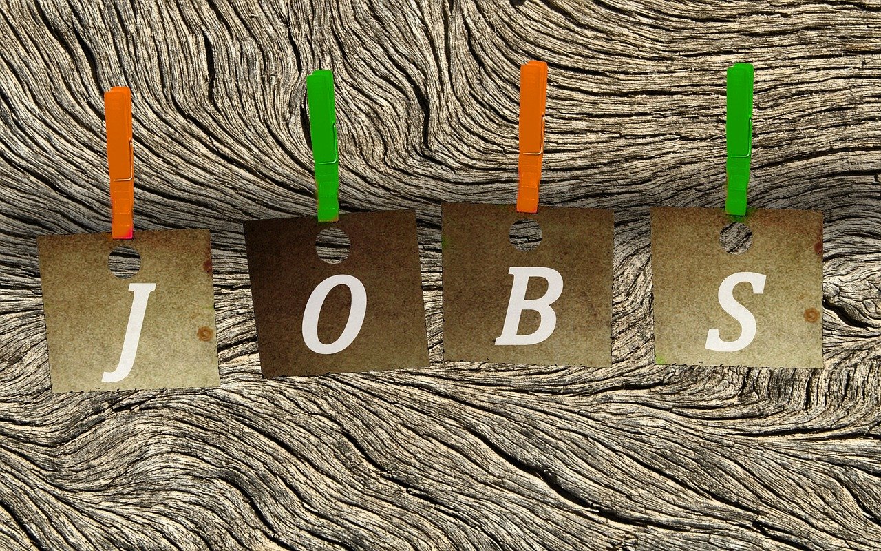 上海急招吹膜工，職業(yè)深度解析與人才需求洞察