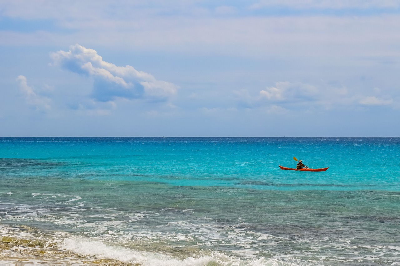 光緒元寶銅幣最新動態(tài)，收藏市場的新焦點(diǎn)揭秘