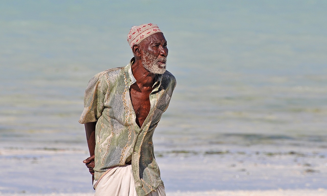 中華孝道園最新消息,中華孝道園最新動態(tài)，傳承與創(chuàng)新的融合