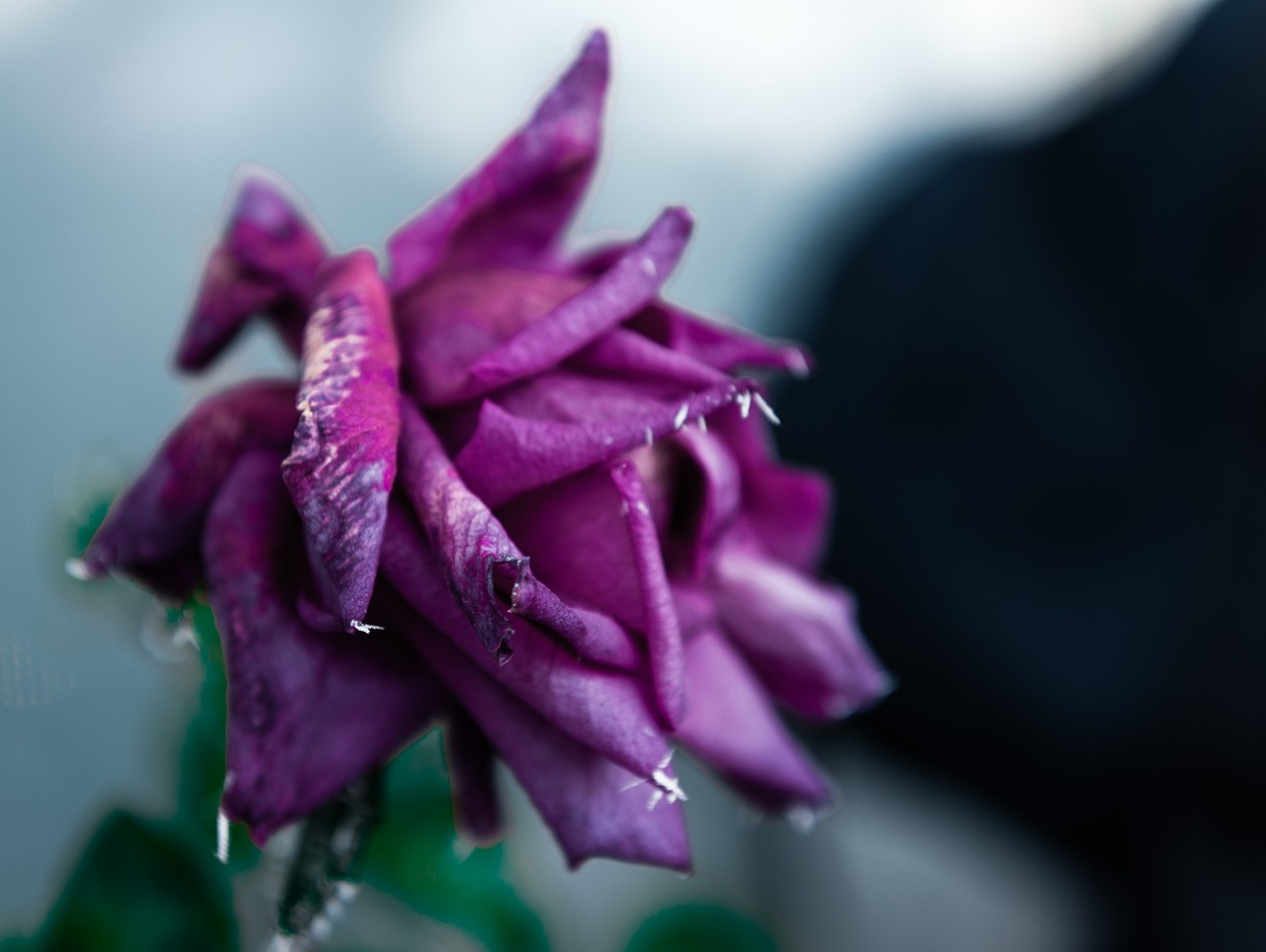 天津老年卡最新動態(tài)，關(guān)愛老年人，打造便捷生活