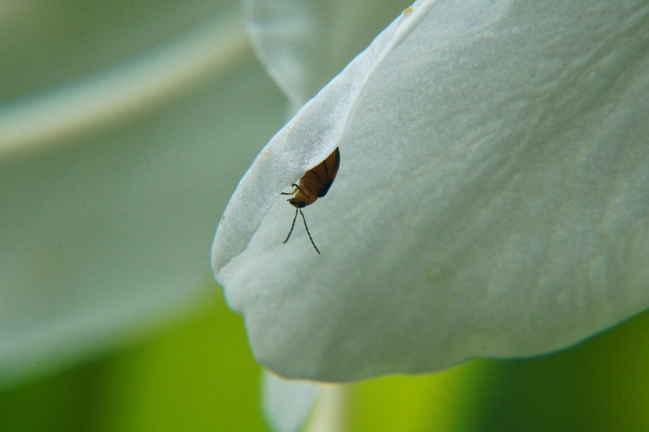 余江新聞最新消息深度報(bào)道，聚焦余江發(fā)展動(dòng)態(tài) 2017年年度報(bào)告