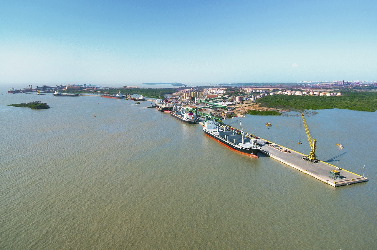 國產大豆收購最新動態(tài)，市場趨勢與產業(yè)動態(tài)深度解析