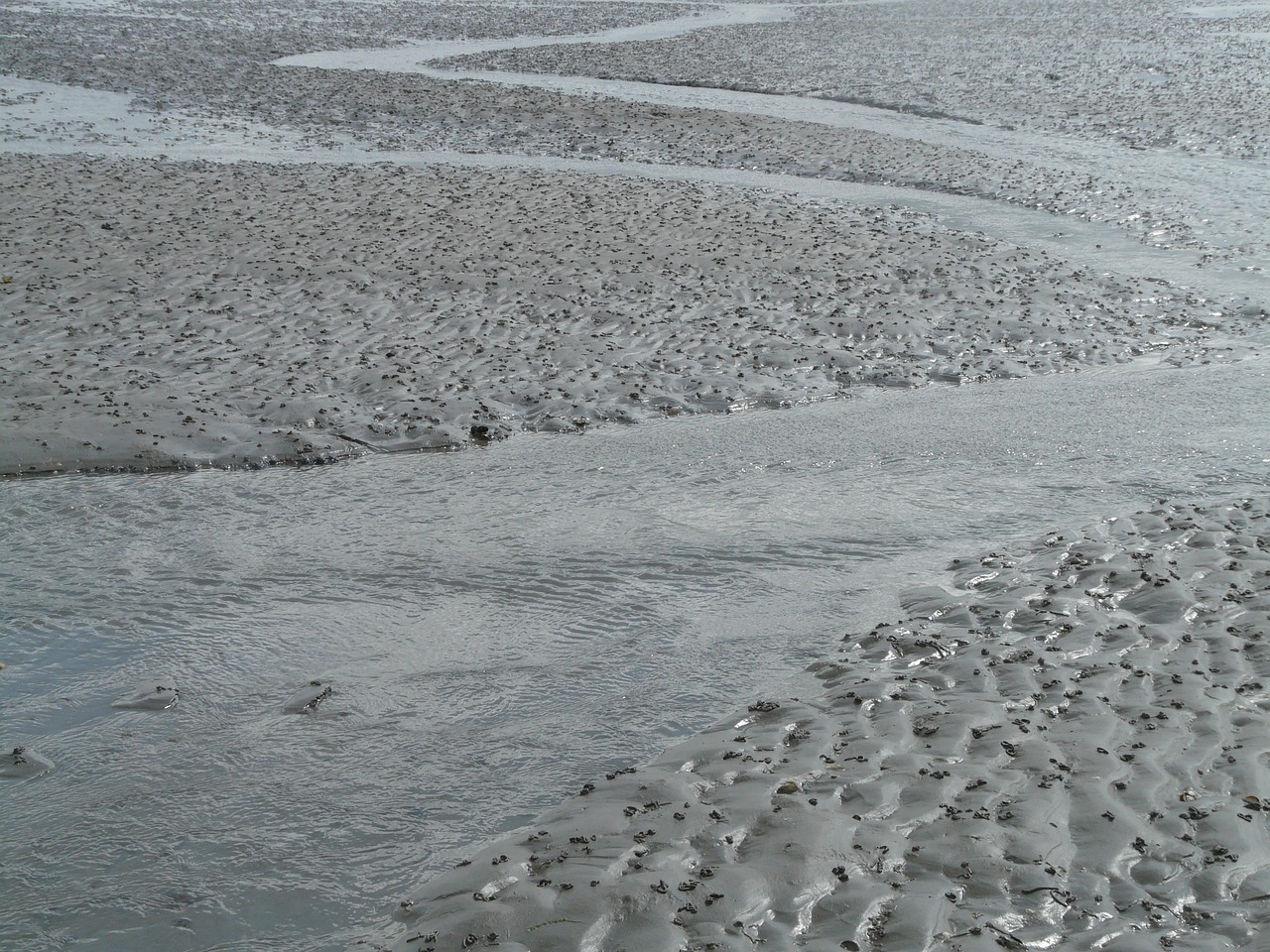 北海傳銷最新動態(tài)曝光，真相揭秘與風險警惕