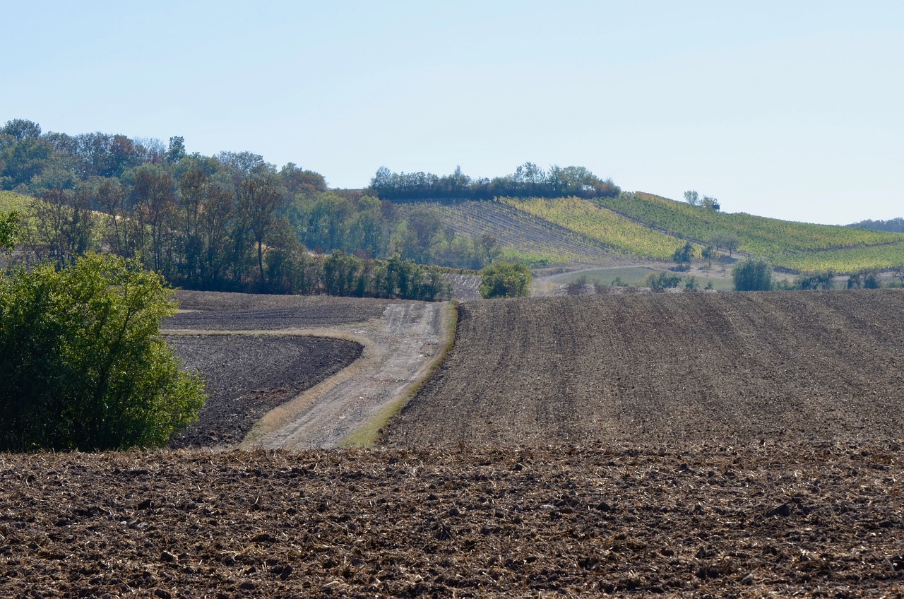 小藍工業(yè)園最新招聘動態(tài)，崗位空缺與產(chǎn)業(yè)影響力分析