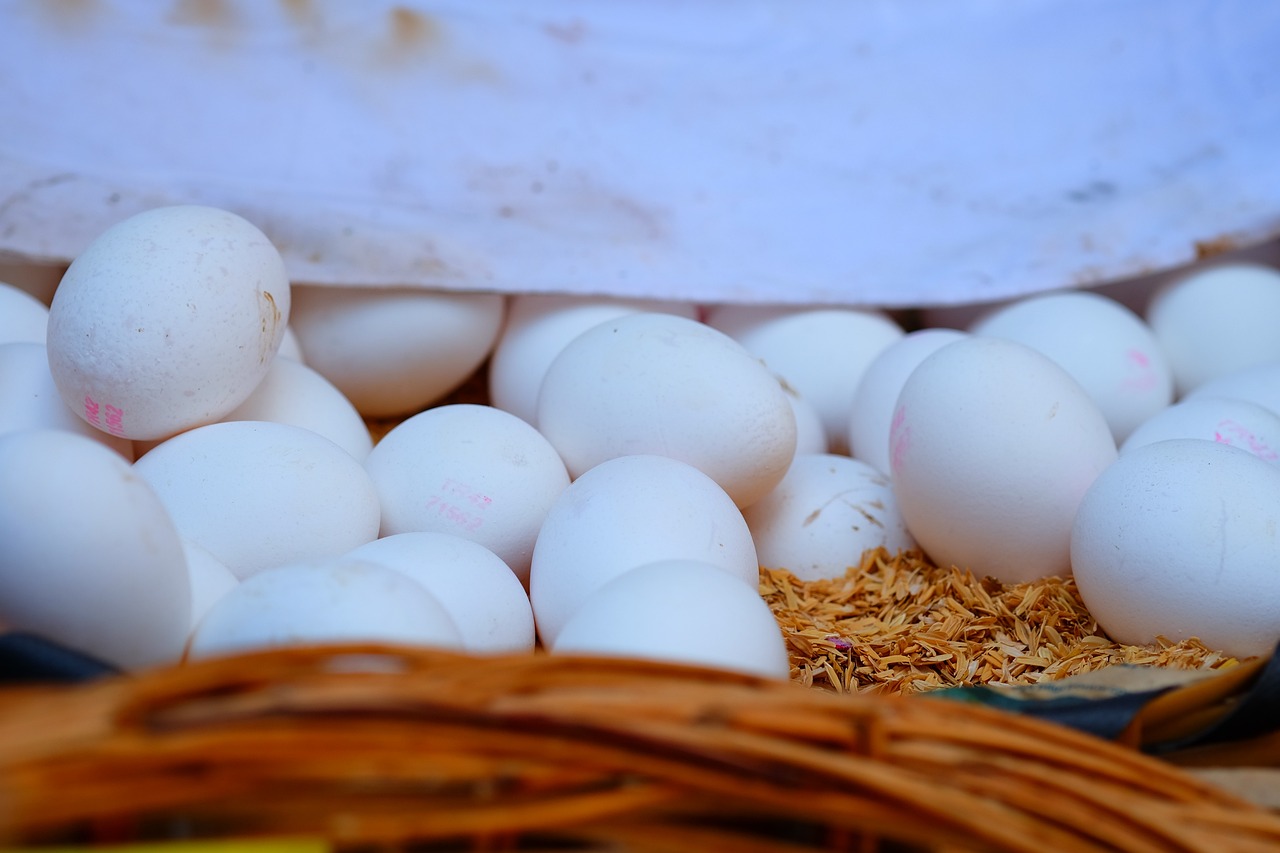 貴港白凹窩最新動(dòng)態(tài)，城市發(fā)展的熱點(diǎn)與未來(lái)展望