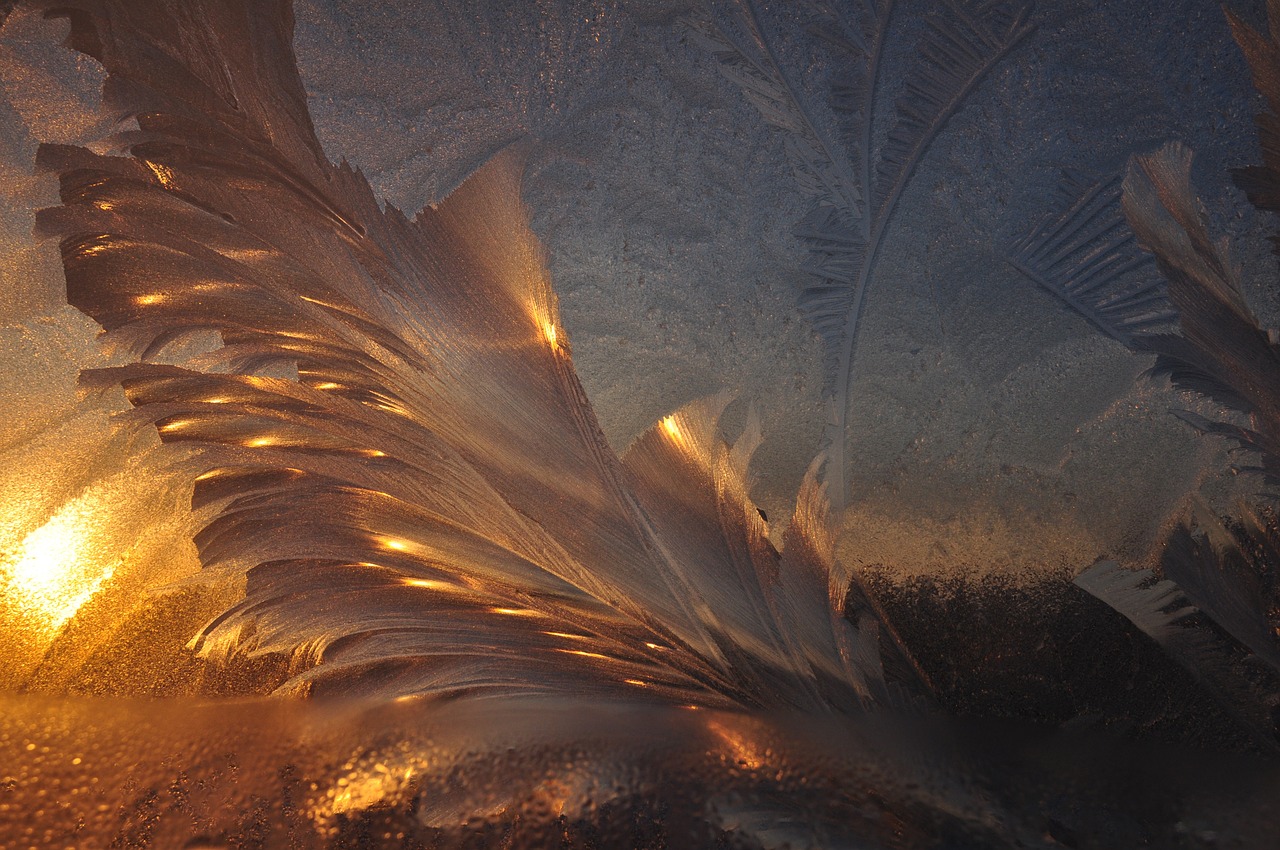 白夜寒與葉曉曉，命運(yùn)交織與情感升華的最新章節(jié)