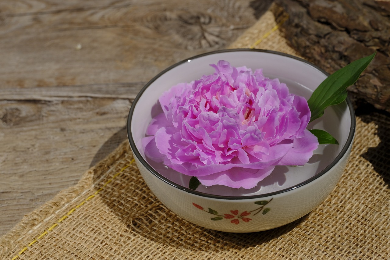 大康牧業(yè)利好消息深度解析，最新動(dòng)態(tài)帶來積極前景