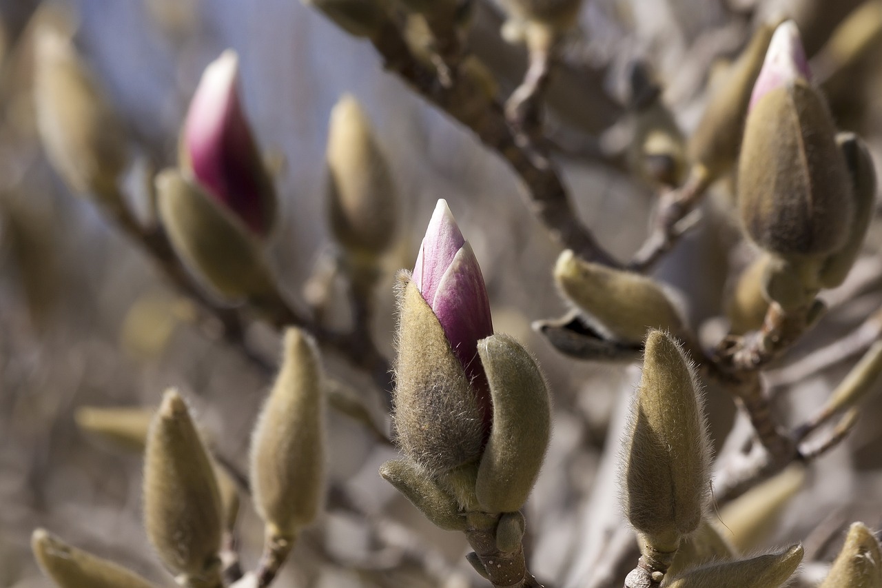 泗陽高鐵最新進(jìn)展報(bào)告更新，最新動(dòng)態(tài)揭秘！