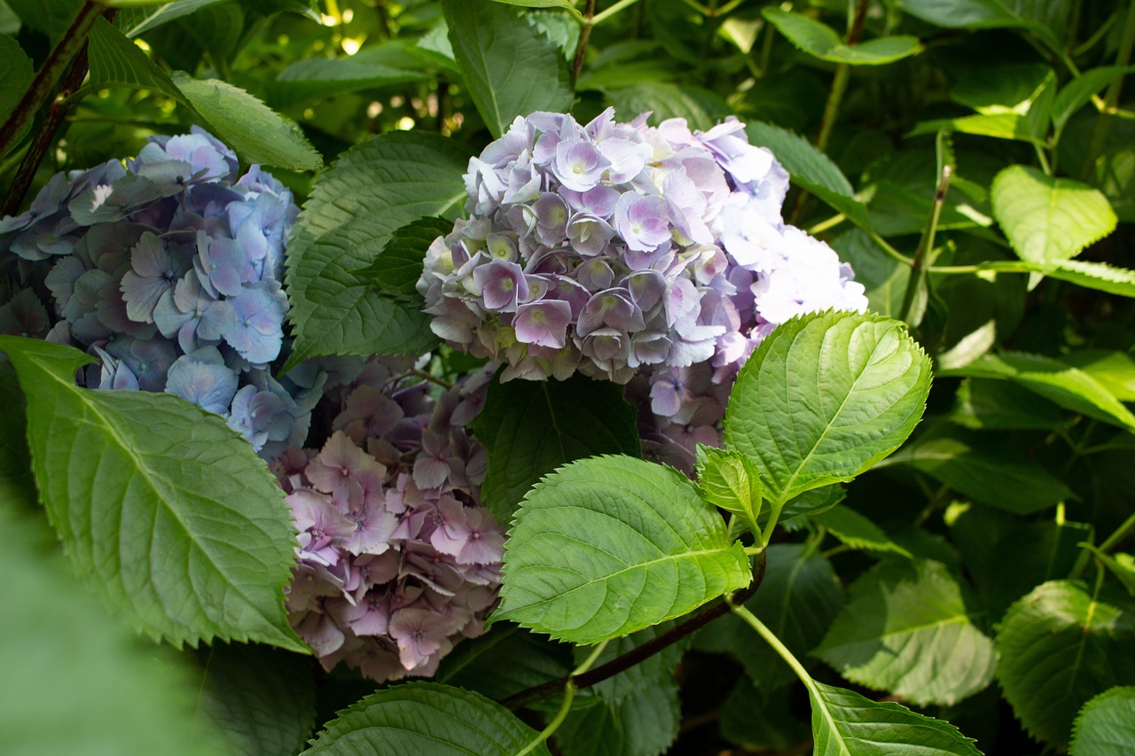 魯豐環(huán)保邁向綠色未來(lái)的堅(jiān)定步伐（最新動(dòng)態(tài)更新）