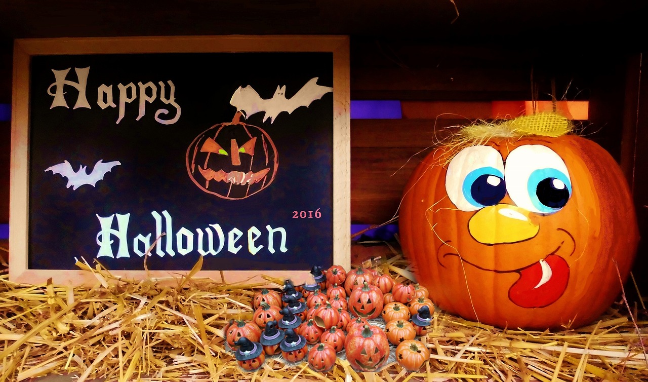 營(yíng)山?？堊钚聞?dòng)態(tài)揭秘，探尋最新消息，揭開(kāi)神秘面紗