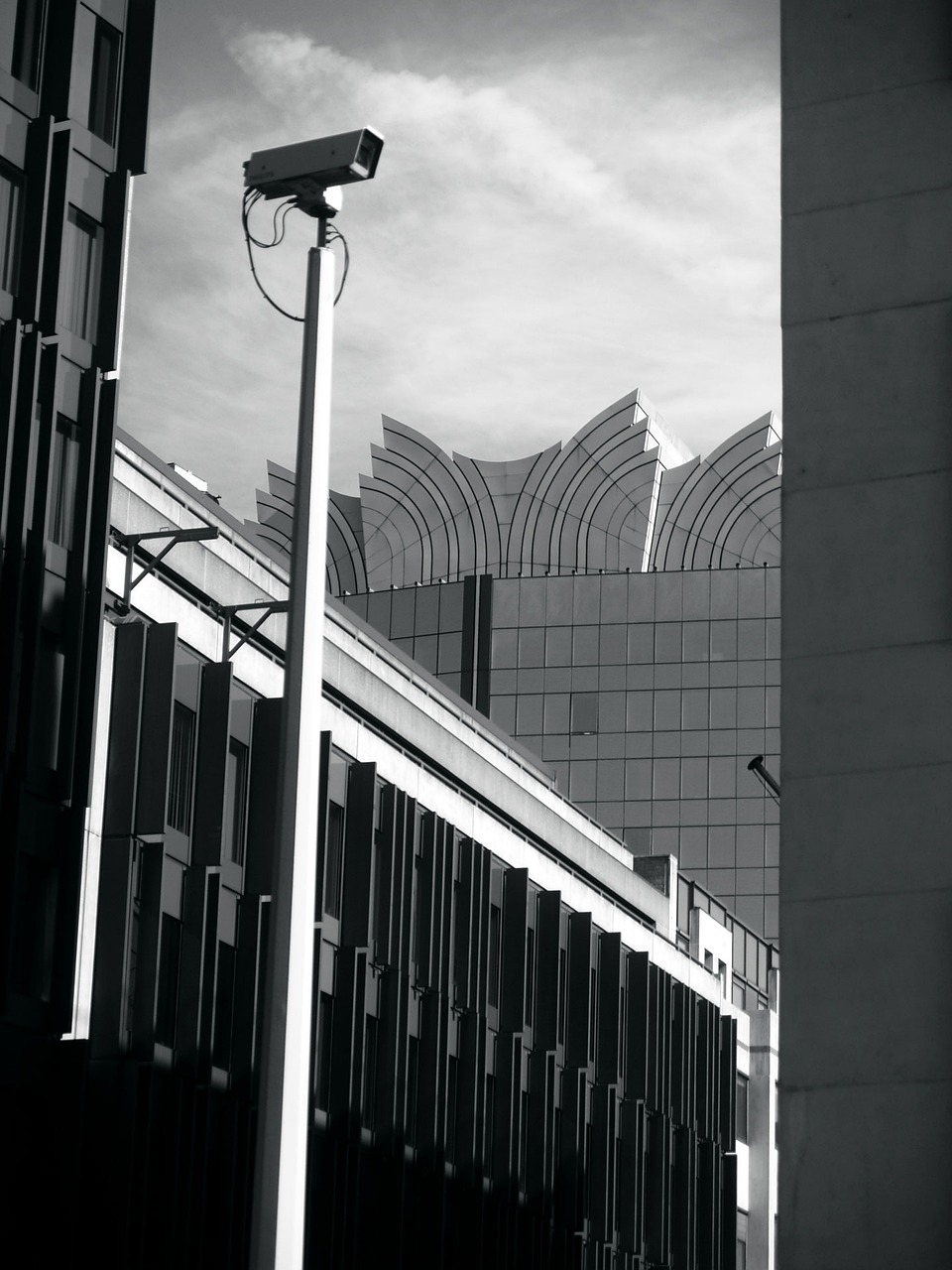 壽縣迎河鎮(zhèn)最新消息概覽，動(dòng)態(tài)更新與資訊一覽