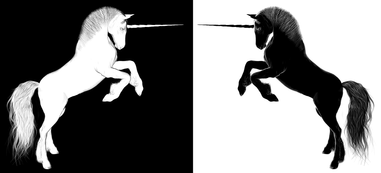 上海浦東合慶最新招聘動態(tài)，影響與趨勢分析