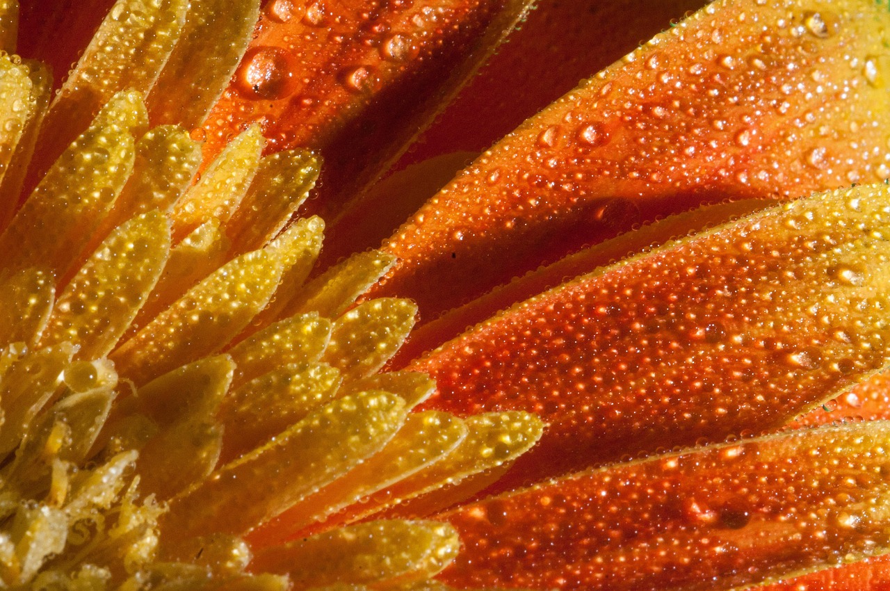 鄭州東岸尚景最新動態(tài)，城市新篇章的璀璨明珠