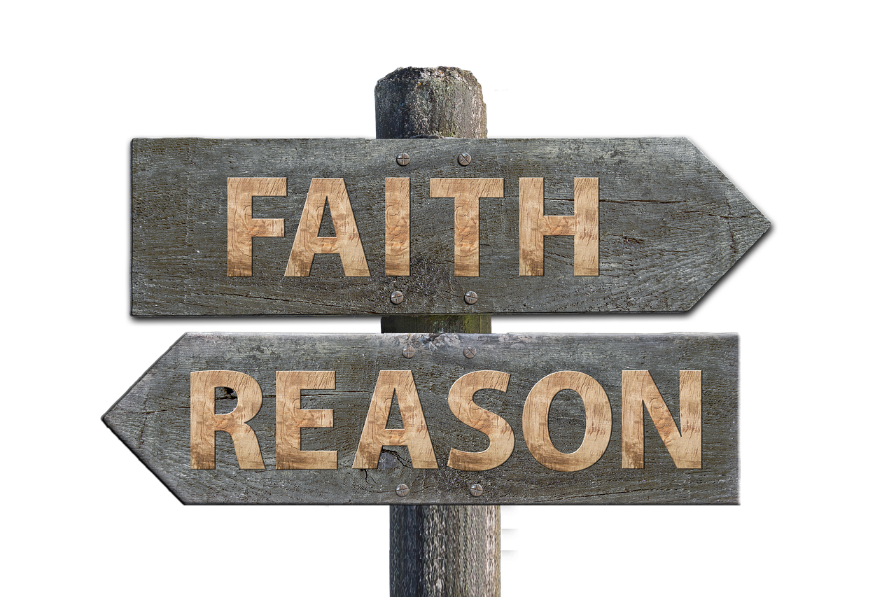 華圖教育股票最新動(dòng)態(tài)，市場(chǎng)走勢(shì)、前景展望與最新消息