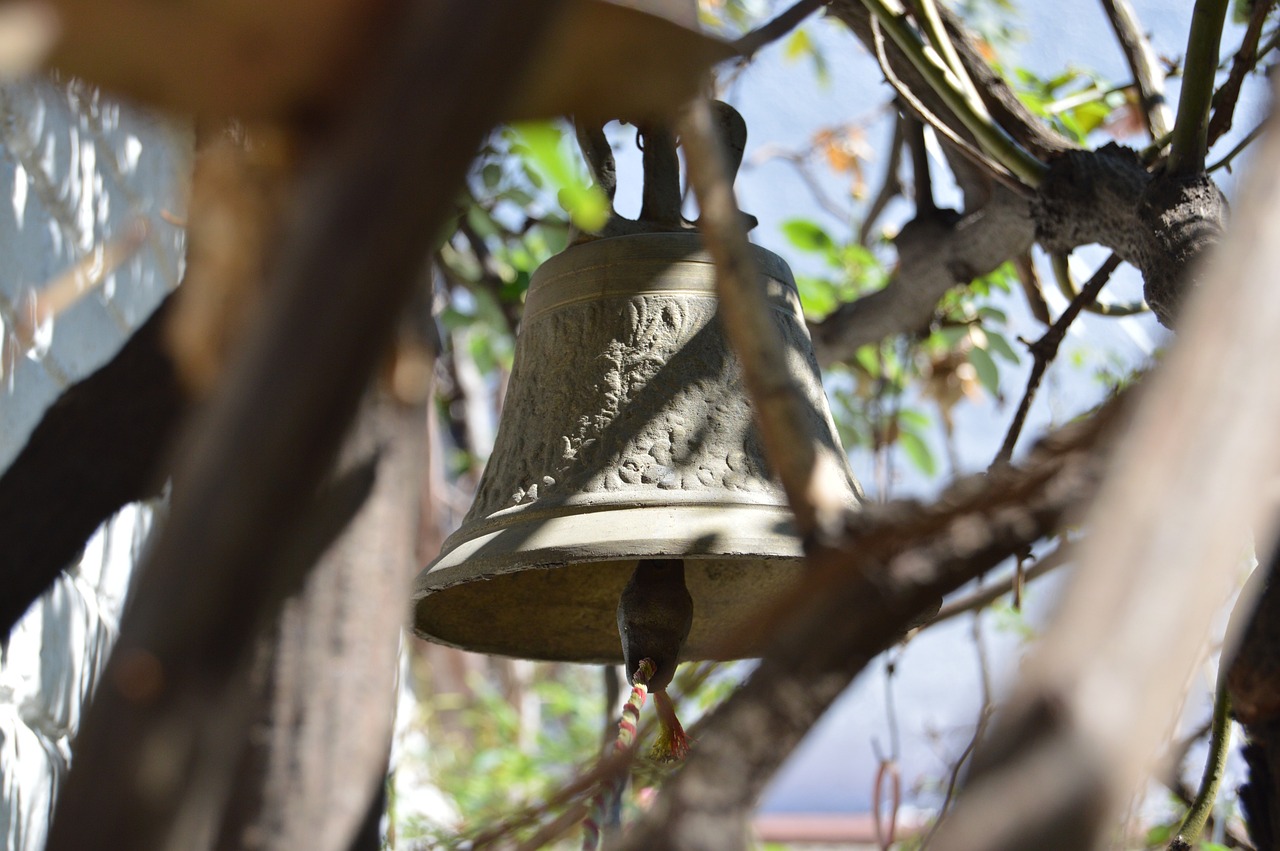 佛山高明房?jī)r(jià)最新動(dòng)態(tài)，市場(chǎng)走勢(shì)、未來(lái)展望與最新消息