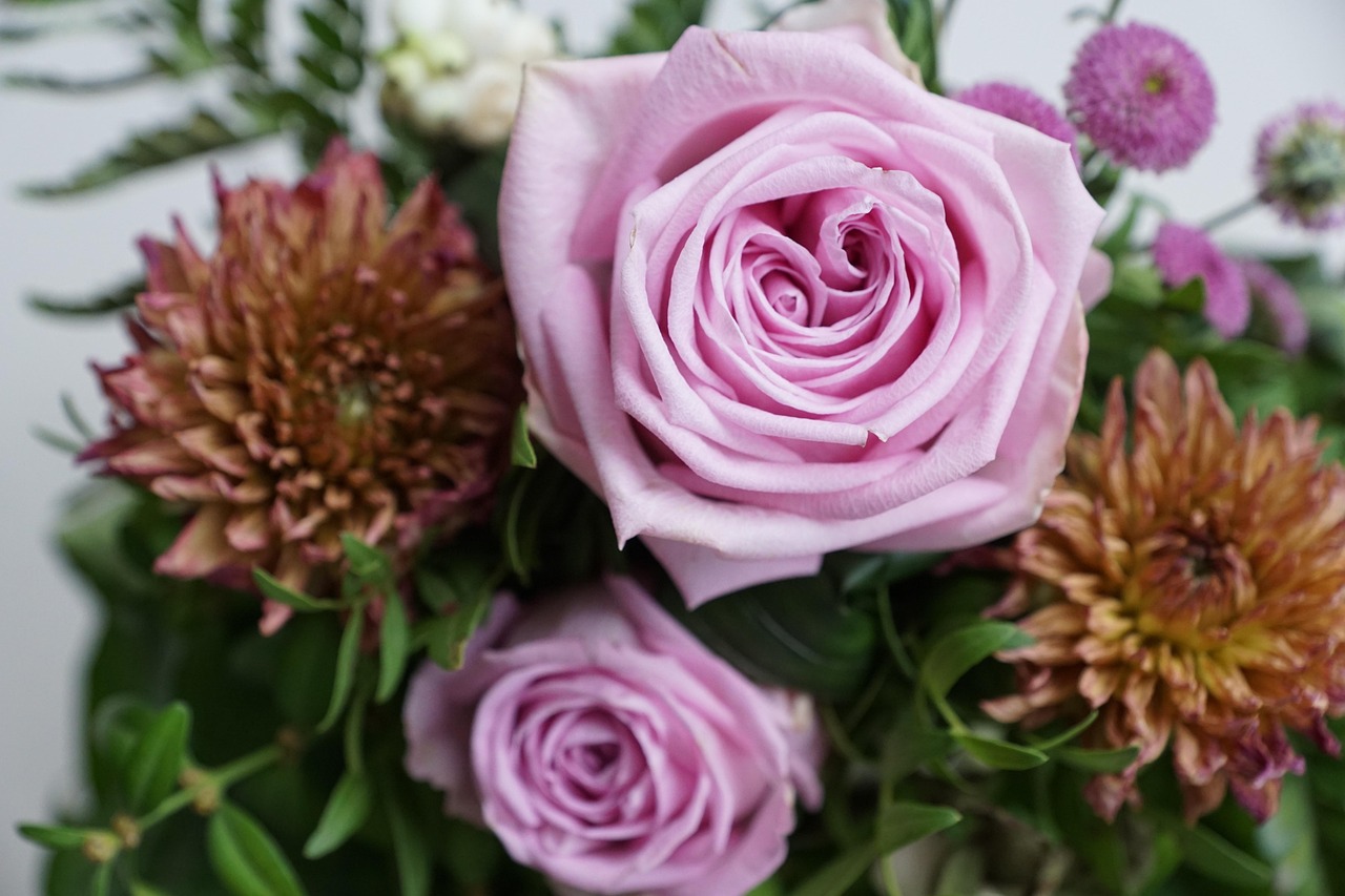 金谷美麗城最新動態(tài)，揭開未來繁華序幕