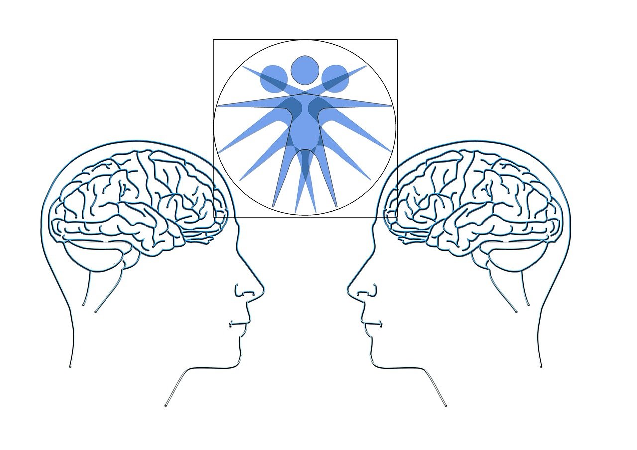 華海新天地最新情況概述，最新進(jìn)展與動(dòng)態(tài)速遞