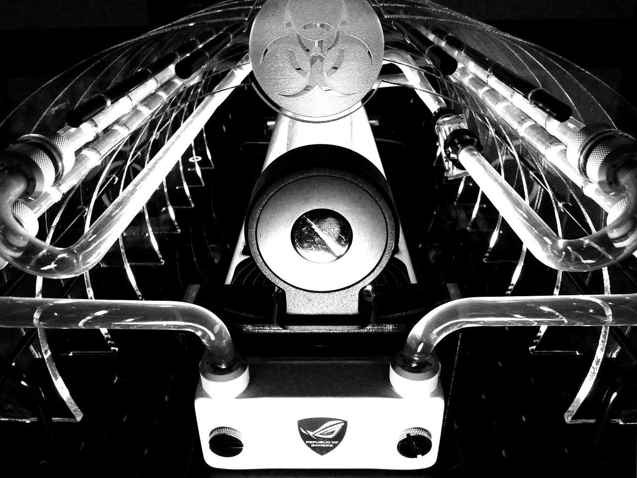 劉亦菲最新動態(tài)匯總，忙碌的日子里的消息更新