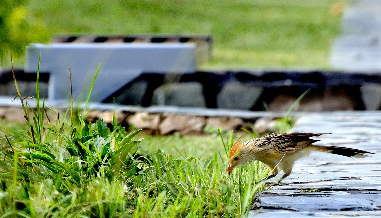 宜賓萬(wàn)達(dá)廣場(chǎng)最新動(dòng)態(tài)更新，最新消息一覽