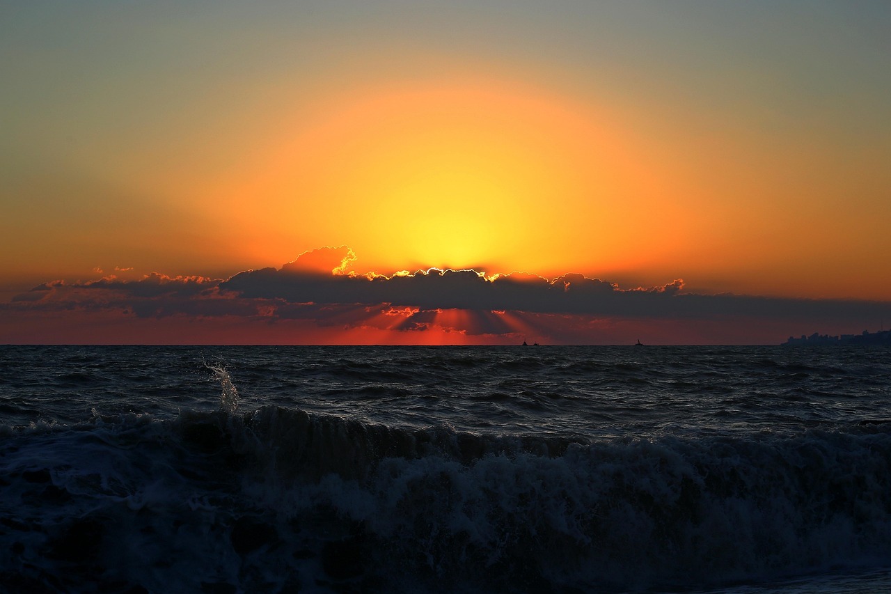 暮光之城女主最新動態(tài)，閃耀星辰的更新揭秘