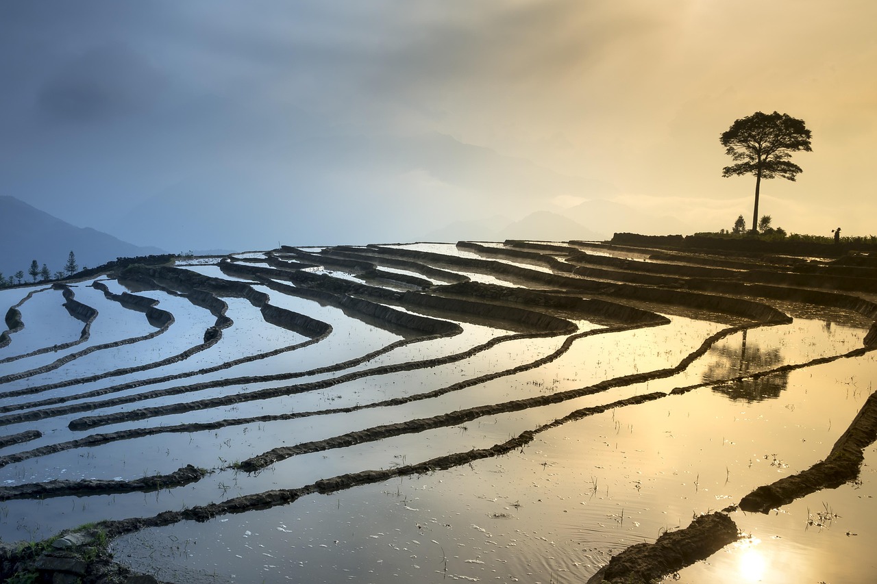 新鄉(xiāng)鳳泉湖最新進展揭秘，生態(tài)城市壯麗序幕正式拉開！