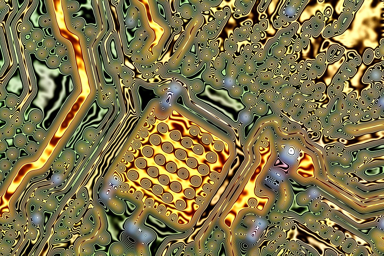 紫色蒲公英 第6頁(yè)