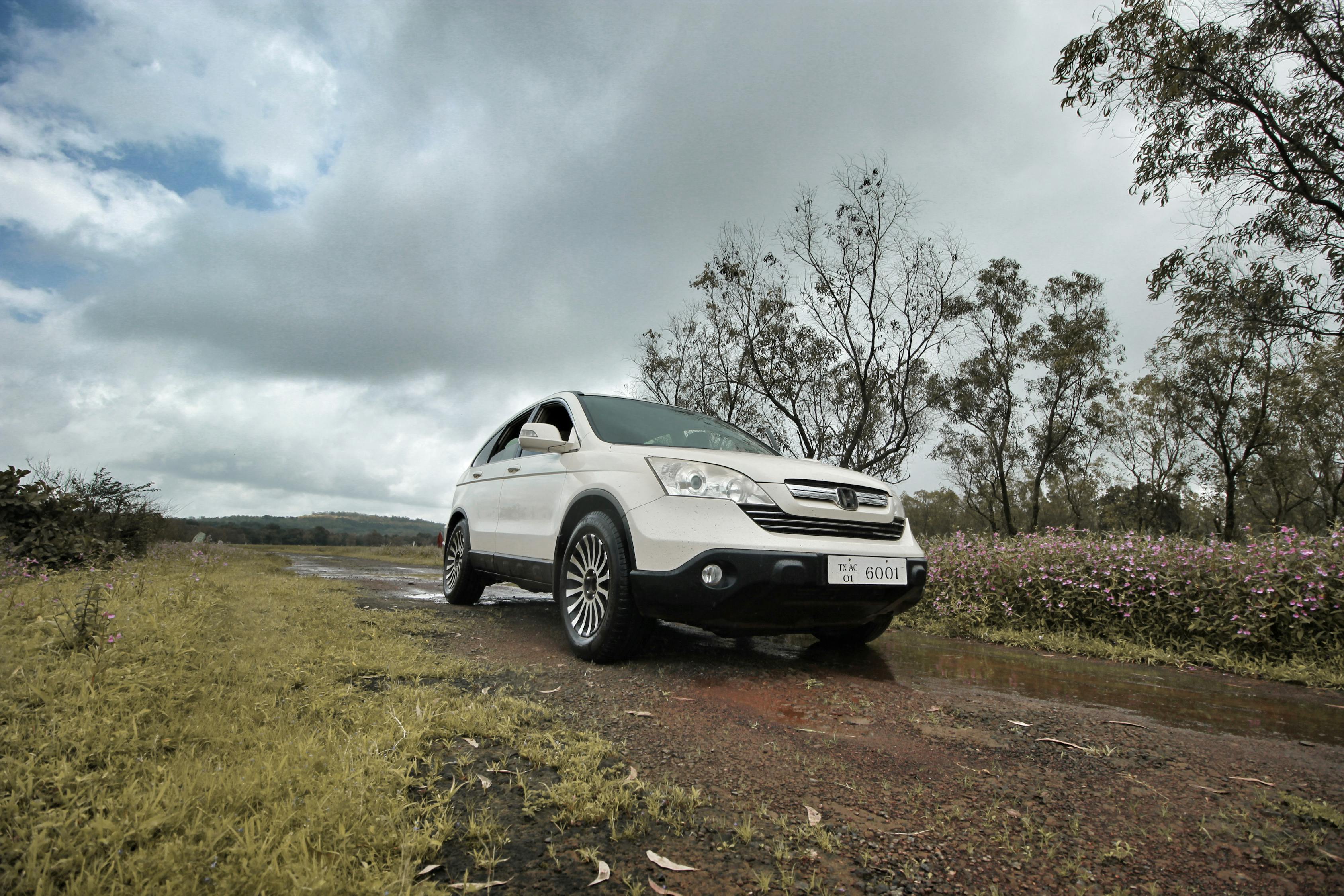 2025年3月 第11頁