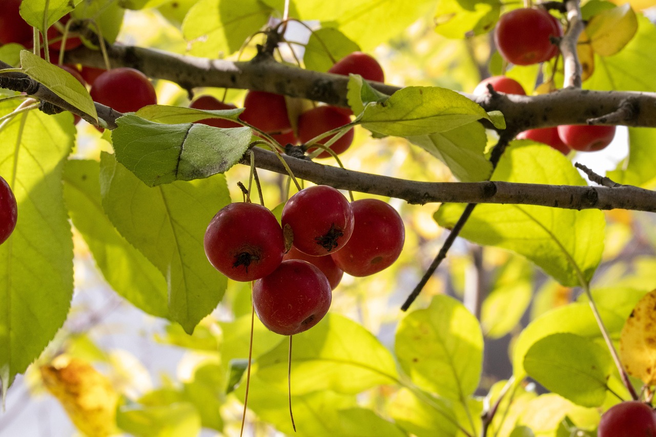 崇外6號(hào)地騰退最新動(dòng)態(tài)，城市更新與社區(qū)發(fā)展新篇章