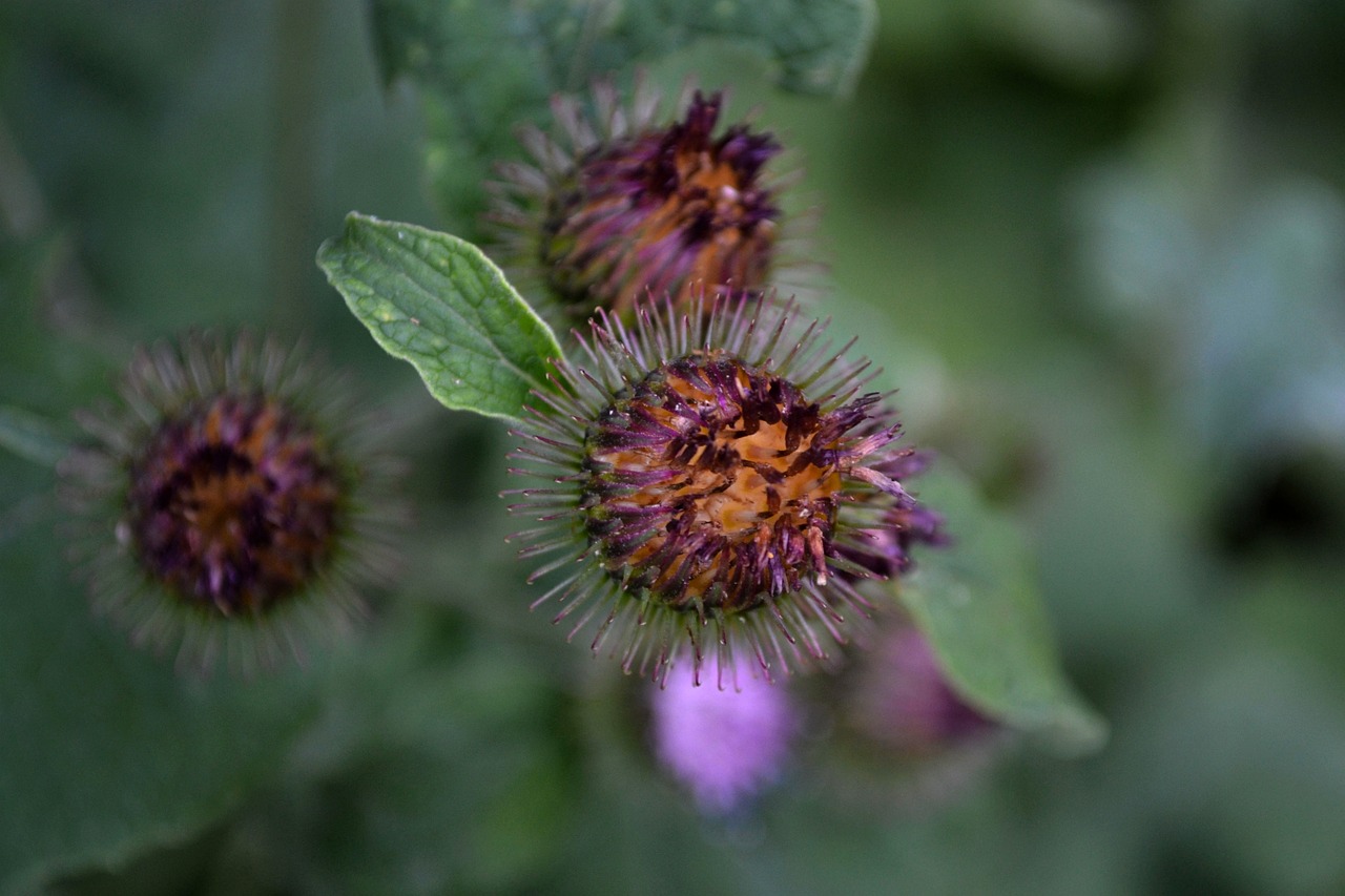 蕪湖市三山區(qū)最新招聘信息概覽，最新職位與招聘動態(tài)全解析