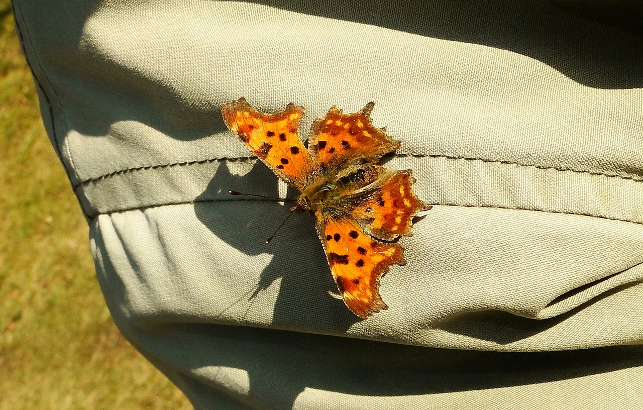 最新服裝招聘信息與行業(yè)招聘動態(tài)及職業(yè)前景展望